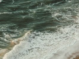 Libertad en el amor de Dios