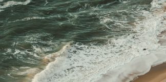 Libertad en el amor de Dios
