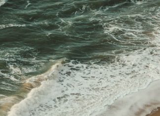Libertad en el amor de Dios