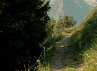 Camino de Santidad