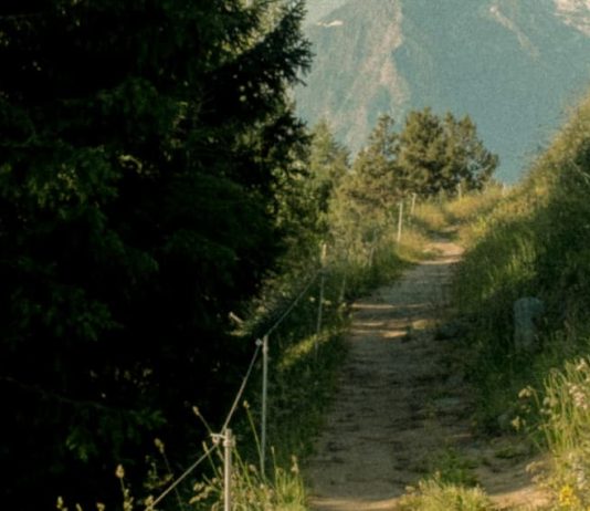 Camino de Santidad