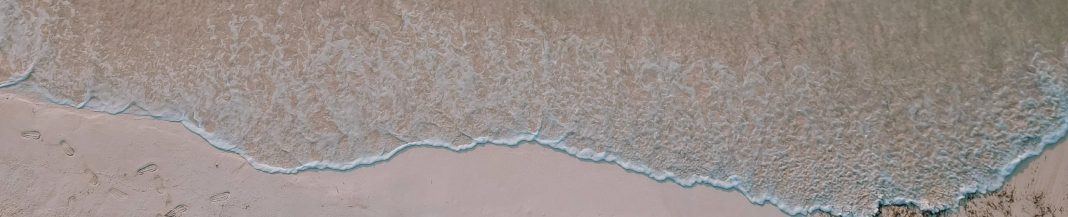 odb20260815