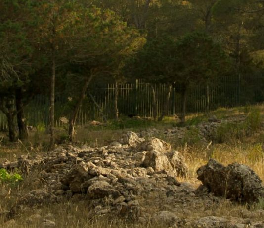 Heridas que edifican y sanan